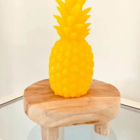 Witsand 1 Egmond aan Zee