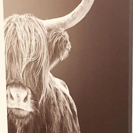 Witsand 1 * Egmond aan Zee